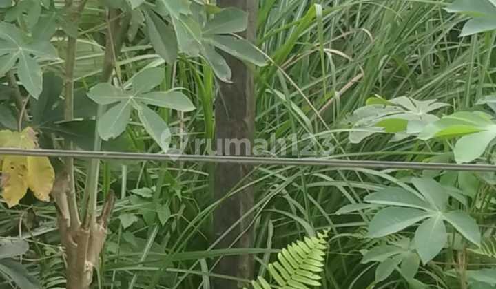 Dijual Tanah Luas 7.017 m² Pinggir Jl.Soekarno Hatta kilo.13 – GW Dijual Tanah Luas 7.017 m² Pinggir Jl.Soekarno Hatta kilo.13 – GW