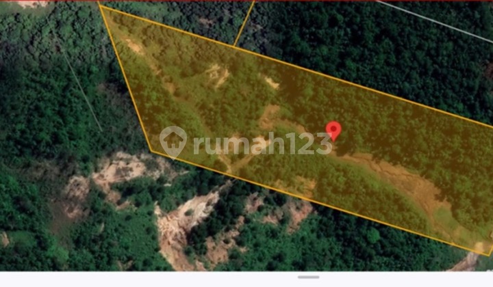 For Sale: Land 43,360 m² + 45,090 m² in Kariangau - Hm For Sale: Land 43,360 m² + 45,090 m² in Kariangau - Hm