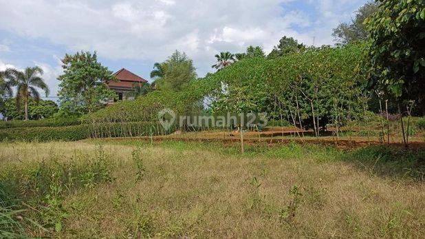Lahan Villa di D Gadog Bogor 4