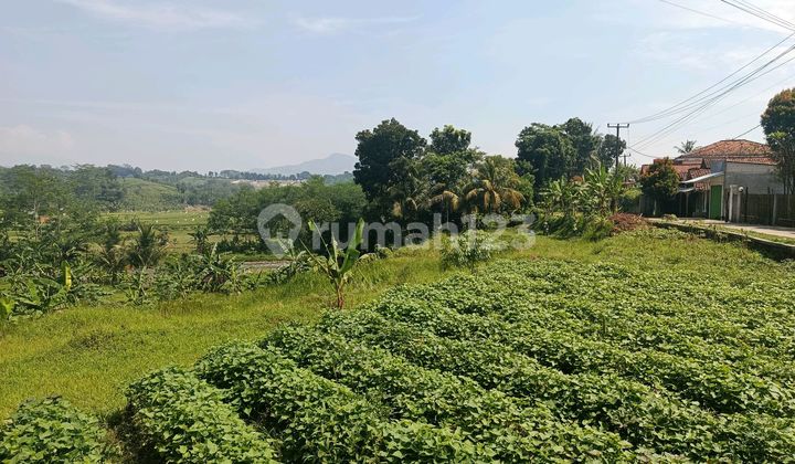 Tanah Pinggir Jalan Sukamakmur Ada Aliran Sungai Shm Best View Tanah Pinggir Jalan Sukamakmur Ada Aliran Sungai Shm Best View