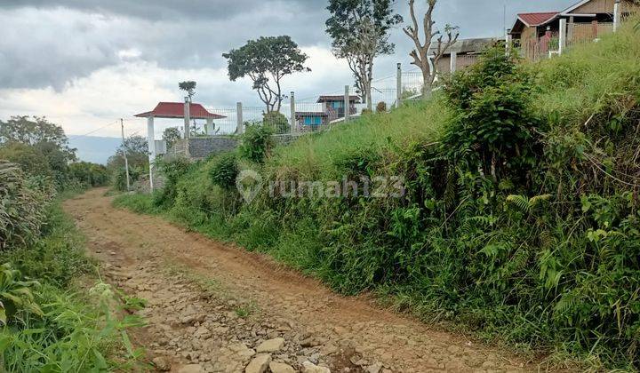 Tanah di Jalan tajur halang Cijeruk boogor 10100 m² 2