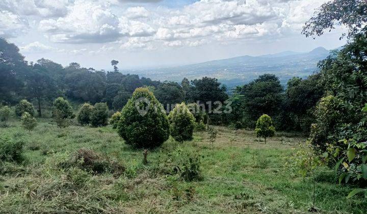 Tanah di Jalan tajur halang Cijeruk boogor 10100 m² 1