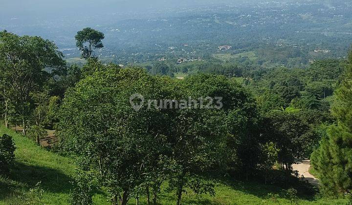 Tanah over alih garap di Cijeruk tajur halang bogor 2