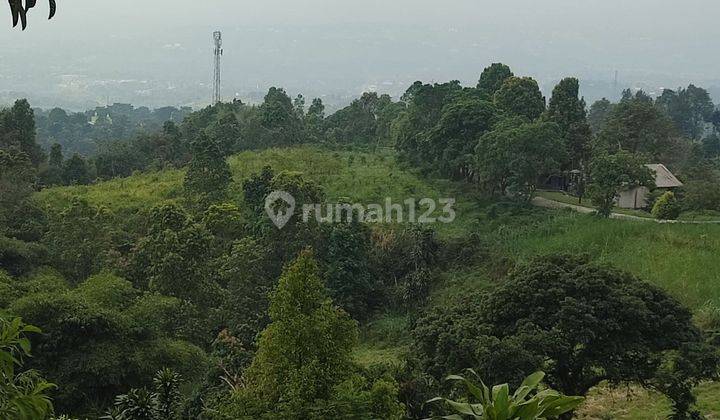 Tanah SHM di Tajur halang cijeruk Bogor view lepas 2