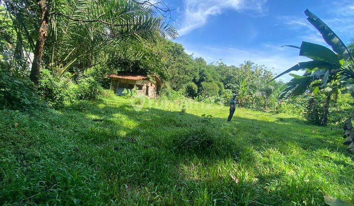 Tanah MURAH di Cijeruk view gunung dekat jalan utama 1