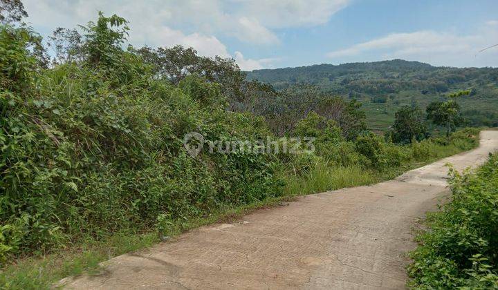 Dijual Tanah Murah di Sukamakmur Bogor Jalur puncak 2  2