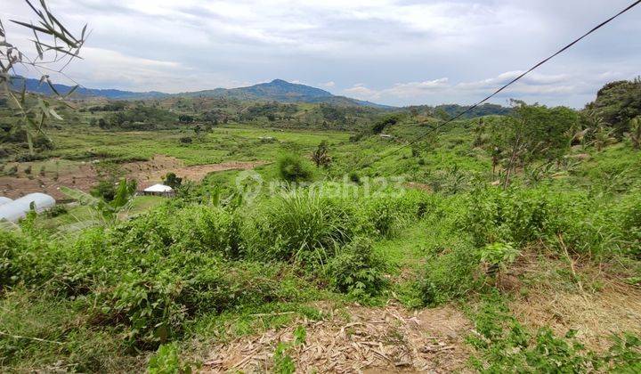 Tanah luas cukup besar cocok untuk usaha di Sukamakmur bogor 1