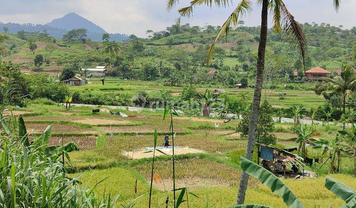 Tanah harga Murah cocok untuk usaha di Sukamakmur Bogor  1