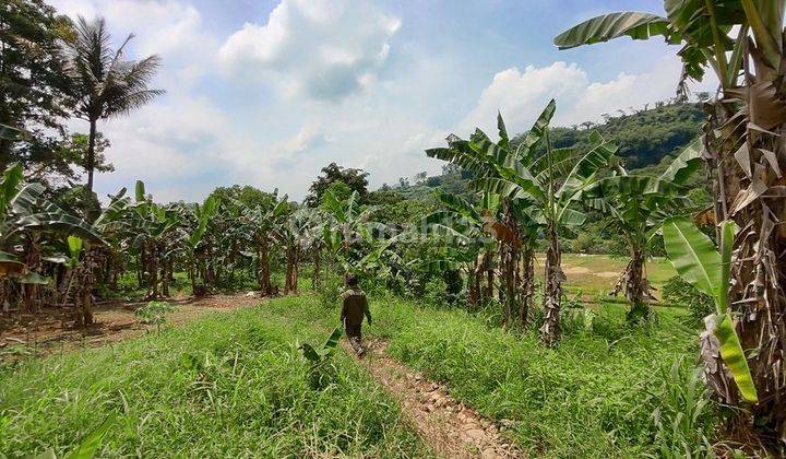 Tanah harga Murah cocok untuk usaha di Sukamakmur Bogor  2