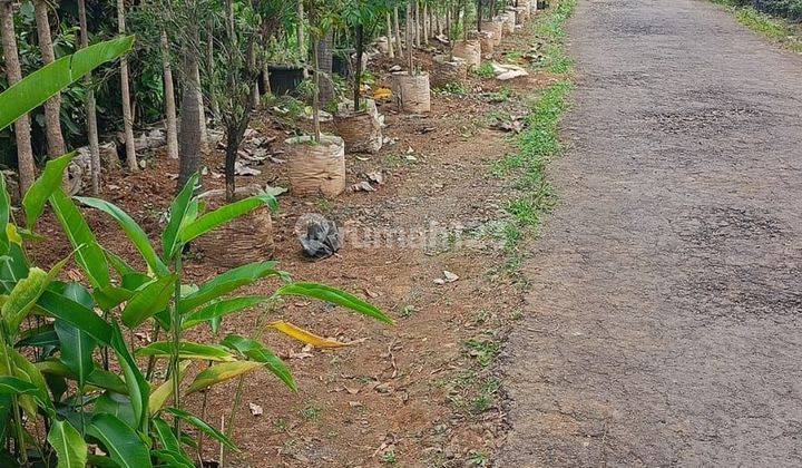 Tanah cocok untuk villa atau kebun di Cijeruk Bogor 1,5  SHM 2