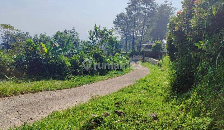 Tanah cantik di Cijeruk Bogor 2500 m² SHM 1