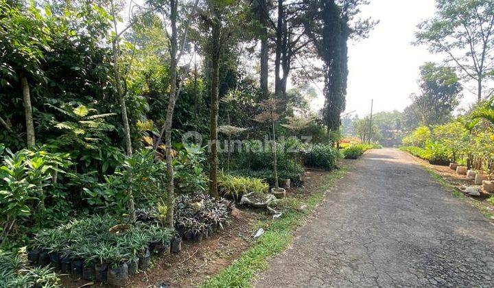 Tanah bagus 6000 m² SHM clean dicijeruk bogor 2