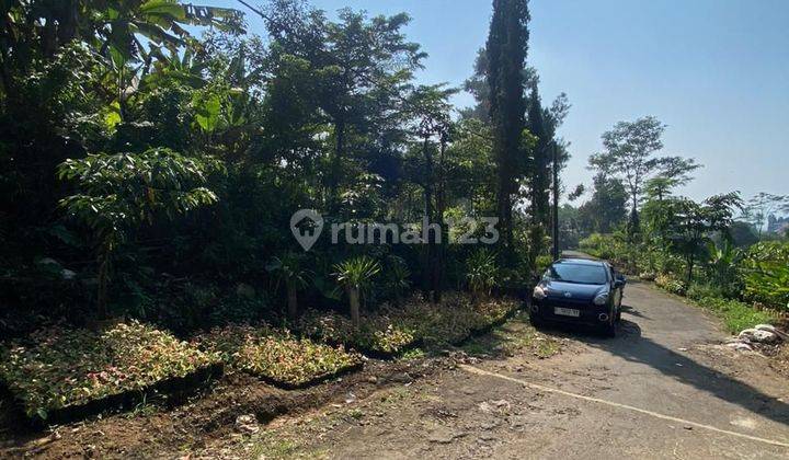 Tanah bagus 8000 m² SHM di Cijeruk Bogor  2