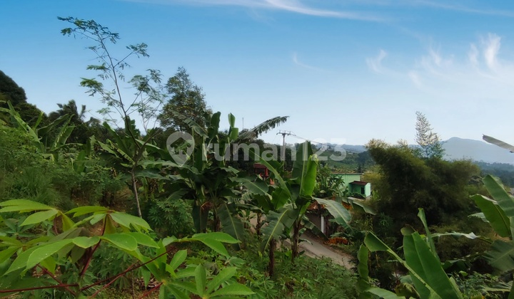 Tanah Pinggir Jalan Di Sukamakmur Bogor Timur Tanah Pinggir Jalan Di Sukamakmur Bogor Timur