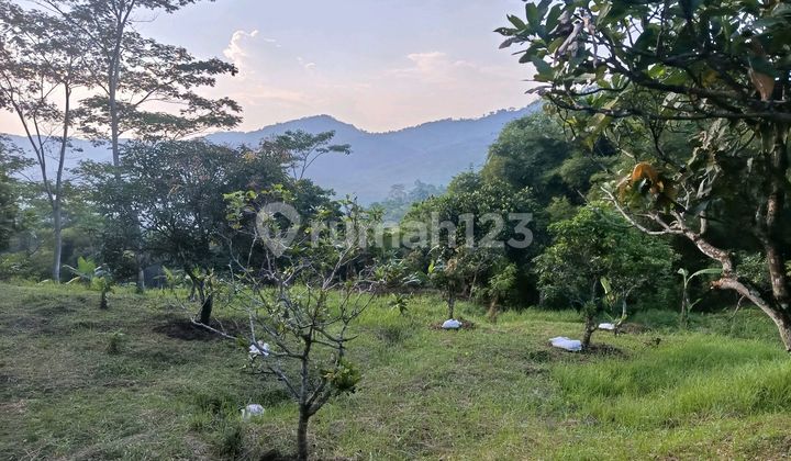 Potential Land 4 Ha – Luxurious View, Affordable Price, Suitable for Investors. Potential Land 4 Ha – Luxurious View, Affordable Price, Suitable for Investors.