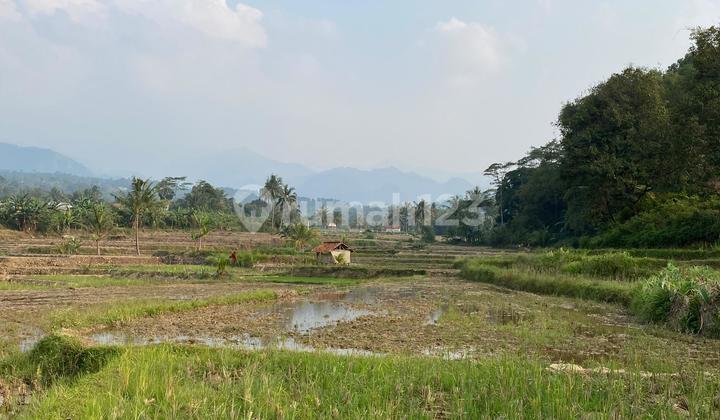 Rice Field Land in Sukamakmur, Area 2644 M², Already Has SHM (Certificate of Ownership)