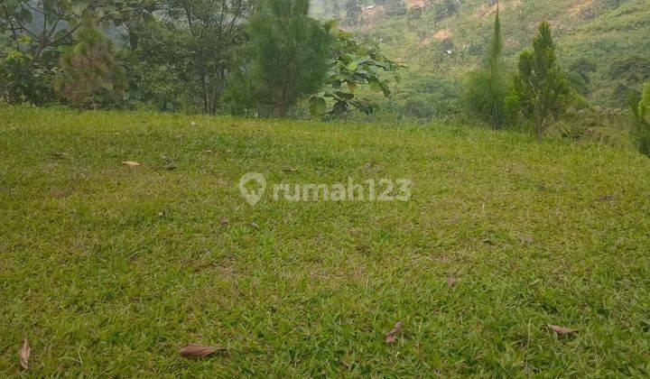 Tanah Bagus Di Bojong Koneng Babakanmadang 1