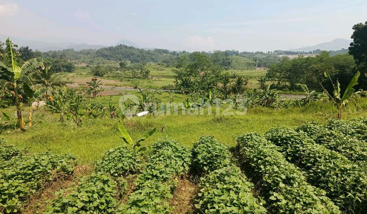 Tanah Bagus Pinggir Jalan Ada Aliran Sungai Di Sukamakmur Shm Tanah Bagus Pinggir Jalan Ada Aliran Sungai Di Sukamakmur Shm