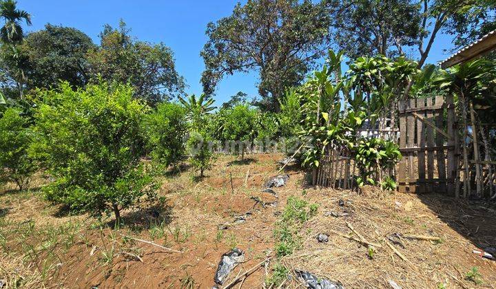 Tanah Kebun Dijual Murah Shm Di Padaluyu Cugenang 2