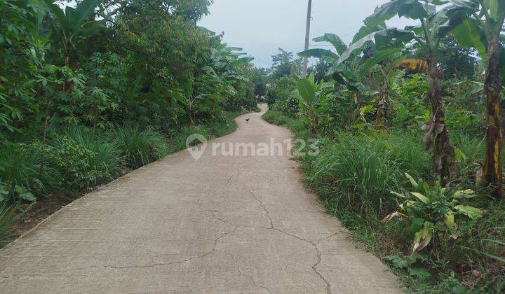 Tanah Murah Di Pabuaran Sukamakmur Bagus  1