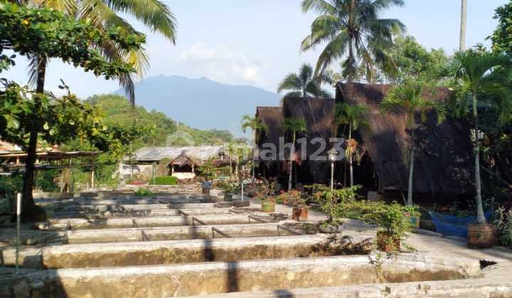 Tanah Bagus Cocok untuk Investasi atau Usaha di Caringin