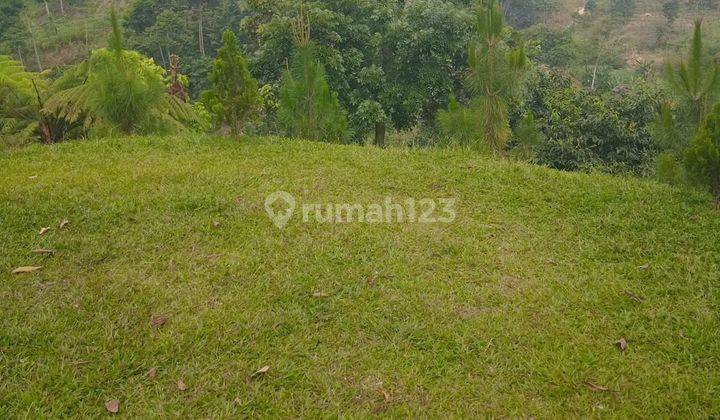 Tanah Murah Garapan Di Bojong Koneng Babakanmadang 2