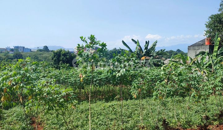 Strategic Land in the Heart of Cibinong Bogor City