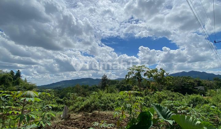 Tanah Pribadi Jual Cepat Sudah Shm Pabuaran,sukamakmur