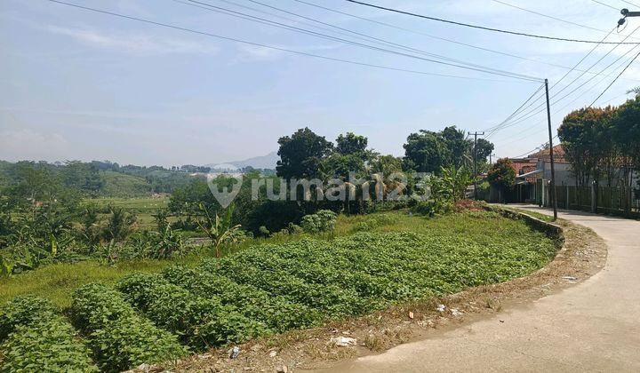 Tanah Best View Di Sukamakmur Ada Aliran Sungai Sudah Shm