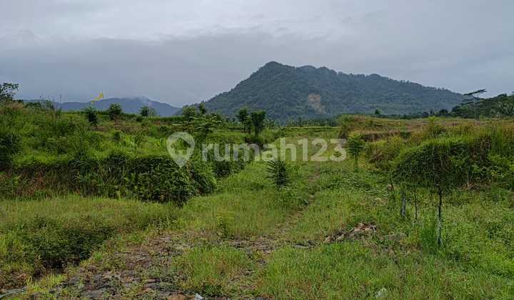 Tanahsiap Bangun Di Sukamakmur Bogor Timur Tanahsiap Bangun Di Sukamakmur Bogor Timur