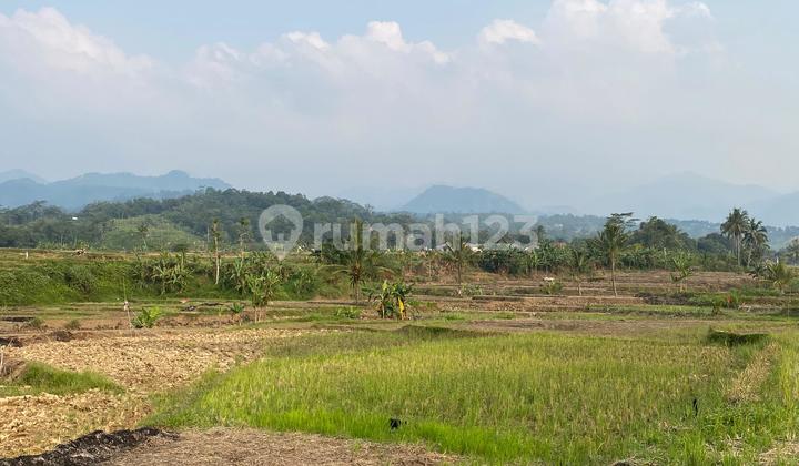 Rice Field Land in Sukamakmur, Area 2644 M², Already Has SHM (Certificate of Ownership)
