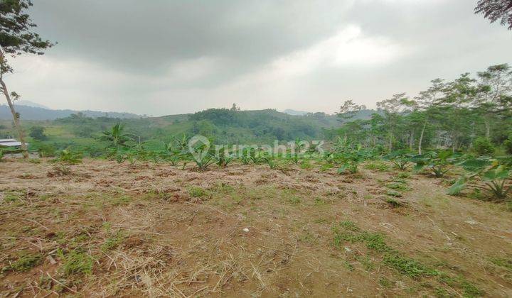 Tanah Strategis Pinggir Jalan Raya Ciherang Pabuaran 2