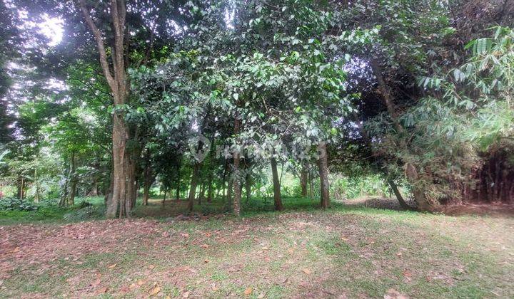 Kavling komersil murah, dan siap bangun sangat cocok untuk perumahan,  gudang,  bisa untuk outbond,  lokasi pinggir jalan propinsi  dan cocok untuk berinvestasi , lokasi sangat  strategis dan  hanya 1 km dari pasar parung, lokasi di parung panjang bogor 3