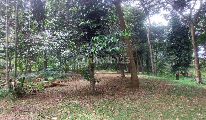 Kavling komersil murah, dan siap bangun sangat cocok untuk perumahan,  gudang,  bisa untuk outbond,  lokasi pinggir jalan propinsi  dan cocok untuk berinvestasi , lokasi sangat  strategis dan  hanya 1 km dari pasar parung, lokasi di parung panjang bogor 4