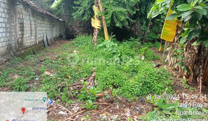 Land for Sale in Tuban, East Java, Area 513m² with SHM