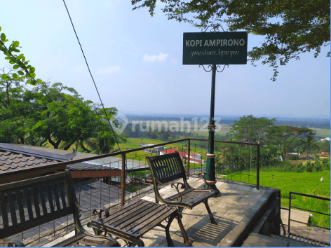 Siap Bangun , Tanah Dijual Di Atas Kopi Ampirono 1