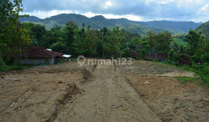 Siap Bangun , Tanah Dijual Di Atas Kopi Ampirono 6