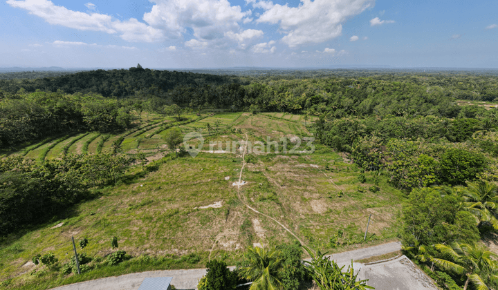 View Hamparan Sawah Tanah Dijual Hanya 70 Meter Jl. Nanggulan 1
