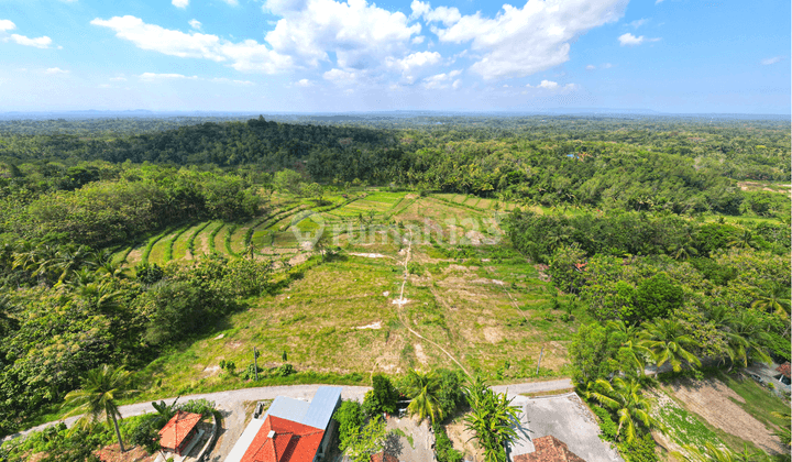 900 Rb M Tanah Murah Jogja SHM Pecah Unit View Sawah 1