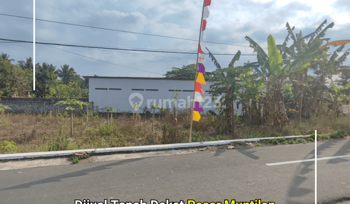Tanah Murah Dekat Pasar Muntilan Mangku Apal SHM Pekarangan 1