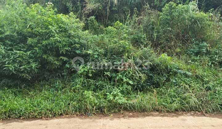 Tanah di Ciwidey 1,2 H Tanah di Ciwidey 1,2 H