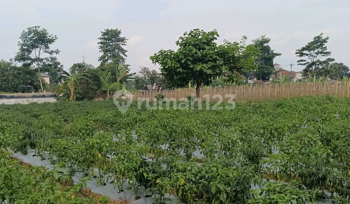 Di Jual Tanah Strategis Mainroad Jalak Harupat Soreang Permeter 3 Jt Nego Di Jual Tanah Strategis Mainroad Jalak Harupat Soreang Permeter 3 Jt Nego