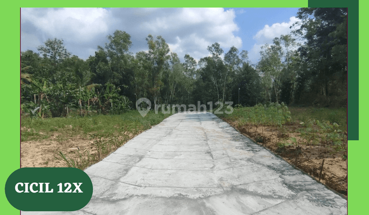 Dijual Kavling Murah Bantul Sedayu, Legalitas Shm p, Luas 126m2  4