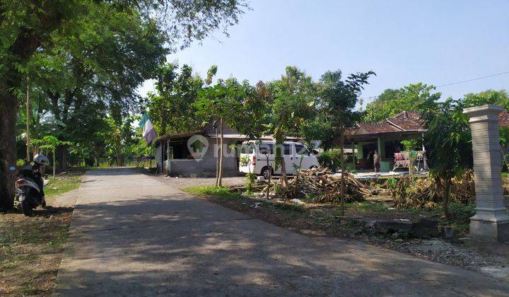 Tanah Kawasan Industri Sentolo Kulonprogo, Cocok Bangun Kos 1