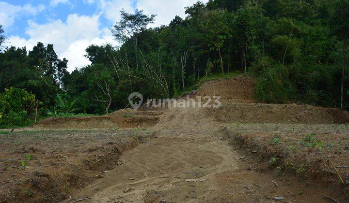 Cocok Bangun Villa, Tanah Menoreh Kulonprogo, 300 Jt, Luas 160m2 2
