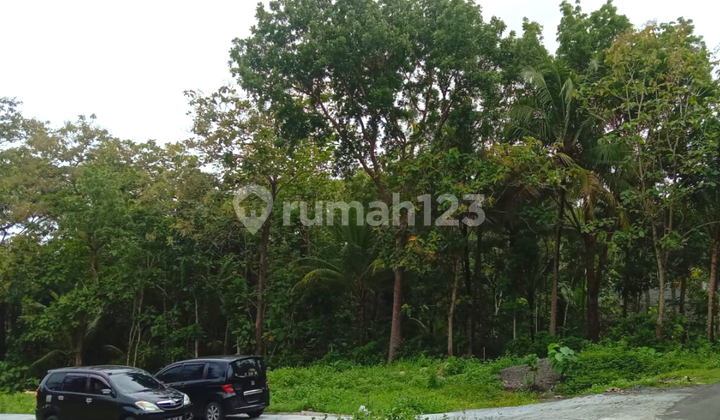 Siap Ajb Notaris, Tanah 100 Jt an, 4 Km Polres Kulonprogo 3