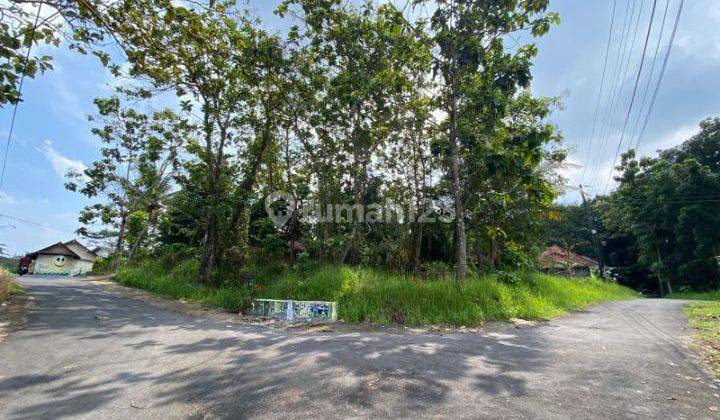 7 Menit Kampus Umy, Dijual Tanah Murah Balecatur, 200 Jt an 4