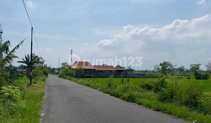 3 Menit Pasar Godean, Tanah Cocok Hunian, Tepi Aspal, View Sawah 2