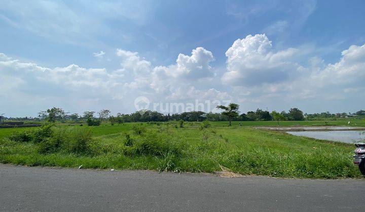 3 Menit Pasar Godean, Tanah Cocok Hunian, Tepi Aspal, View Sawah 3