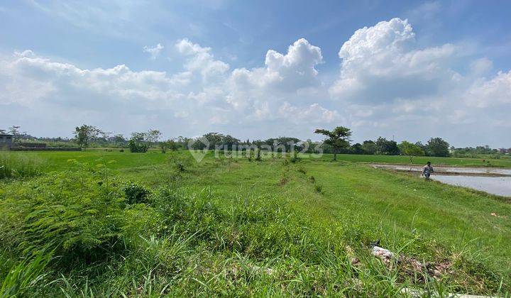 3 Menit Pasar Godean, Tanah Cocok Hunian, Tepi Aspal, View Sawah 4